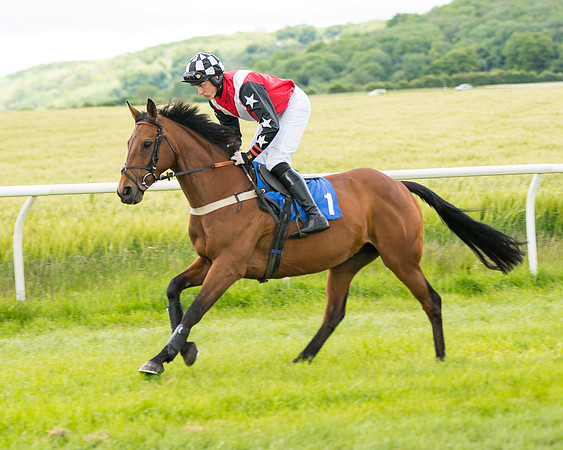 Race 1 - Owner Trainer Conditions  (40 of 133)