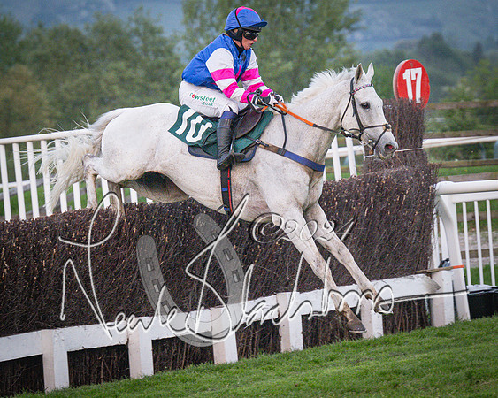 Race - 7 The Royal Gloucester Hussars Open Hunter's steeplechase 2m4f 127y (136 of 210)