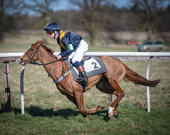 Pony Races (93 of 112)