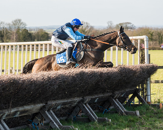 Race 5 - Restricted (68 of 146)