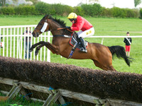 Race 5 - Open Maiden