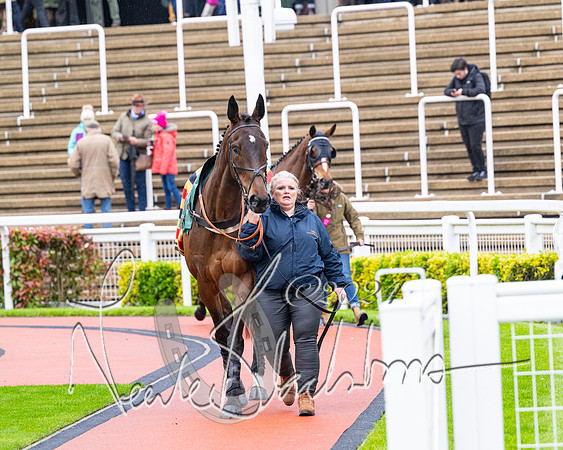 Race 5 - Mares Open  (1 of 129)