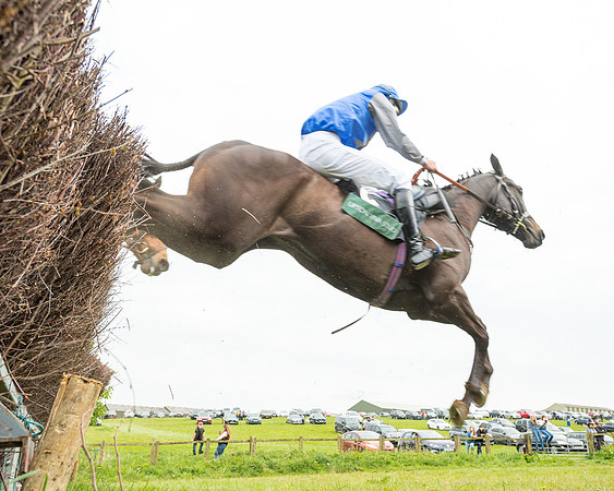 Race 7 - Open Maiden  (48 of 106)