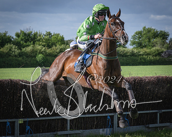 Race 6 - Thorn Plant Hire Maiden Race (54 of 129)