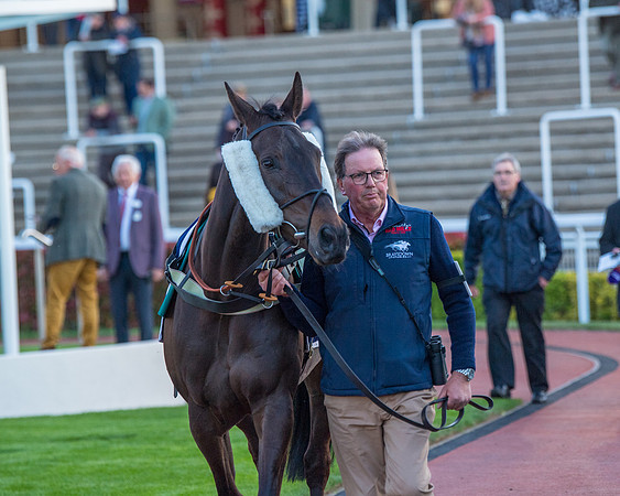 Race 7 - Glos Hussars  (8 of 245)