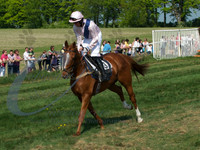 picture-13