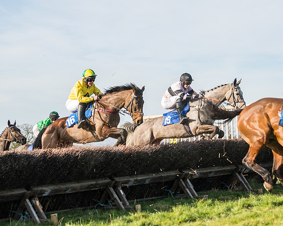 Race 5 - Restricted (24 of 146)