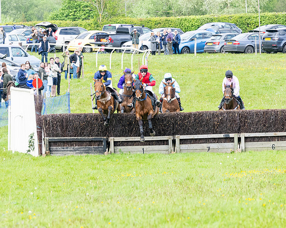 Race 2 - Veteran Horse (31 of 80)