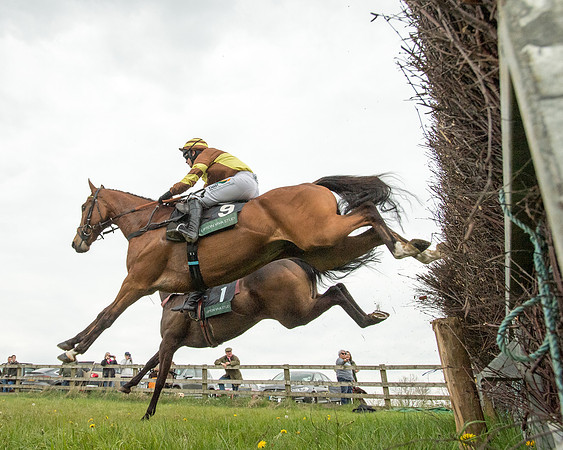 Race 2 - Jockey Club ROR veteran Horse (40 of 104)