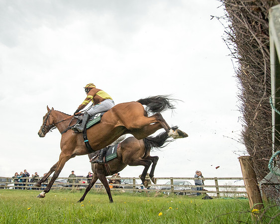 Race 2 - Jockey Club ROR veteran Horse (41 of 104)