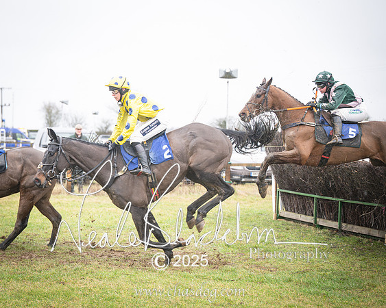 Race 4 - Ladies Open (40 of 66)-Enhanced-NR
