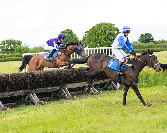 Race 5 - Restricted  (49 of 136)