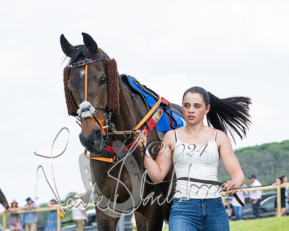 Race 2 - Restricted  (96 of 308)