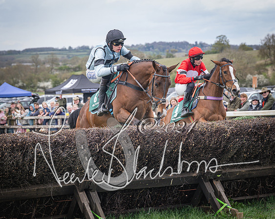 Race 2 - Tattersalls Cheltenham 4 year old Maiden (25 of 85)
