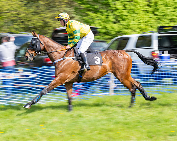 Race 4 -  2M4F Conditions  (6 of 102)
