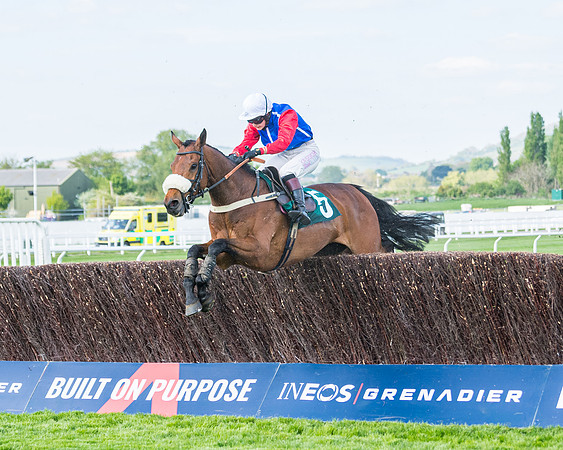 Race 1 - The open Hunter chase  (62 of 95)