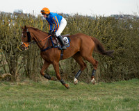 Race 6 - Open Maiden Race (7 of 99).jpg