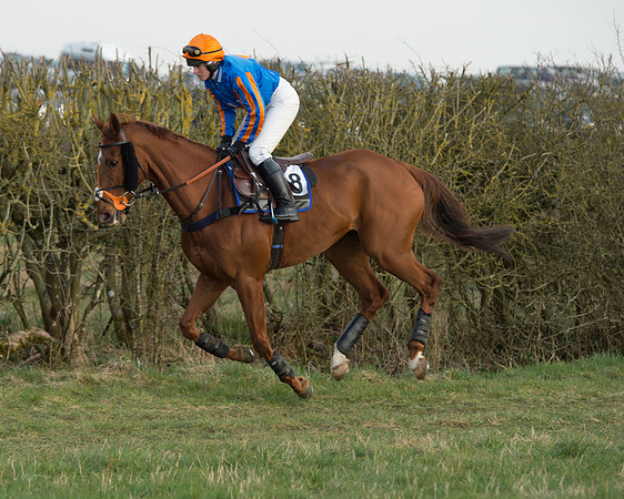 Race 6 - Open Maiden Race (7 of 99).jpg