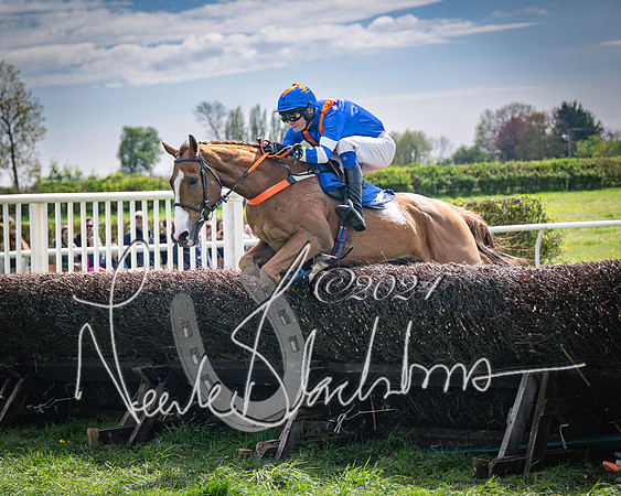 Race 2 - The Elliott of London maiden race (64 of 137)