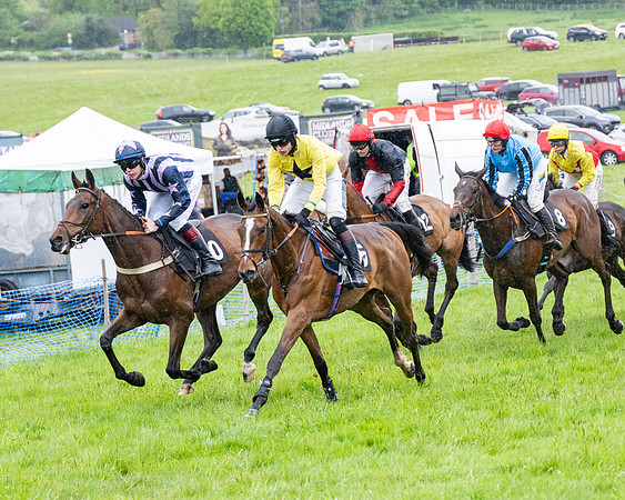 Race 8 - Bumper Div 2 (24 of 84)