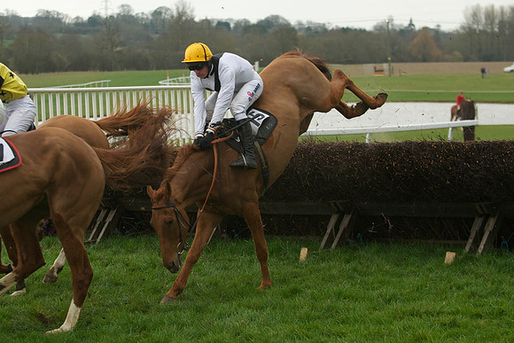 Race 5 - 26