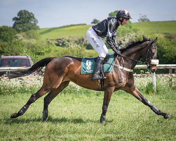 Race 5 - Restricted (43 of 116)