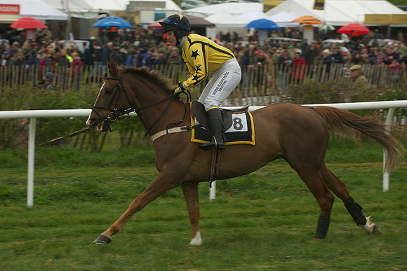 Race 2 - Confined 20