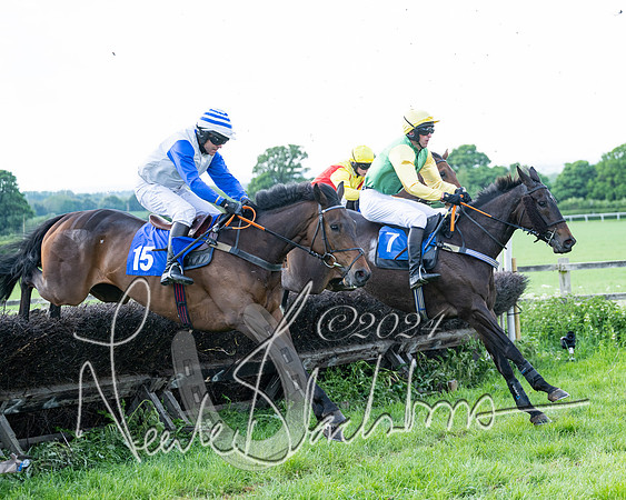 Race 5  - Maiden race 2m5F Div-1 (148 of 197)