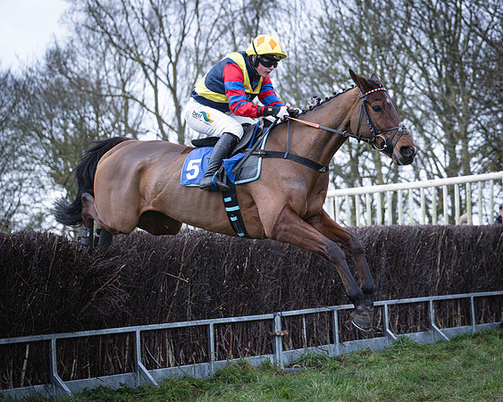 Race 4 - Fairly Famous - Gina Andrews (9 of 23)