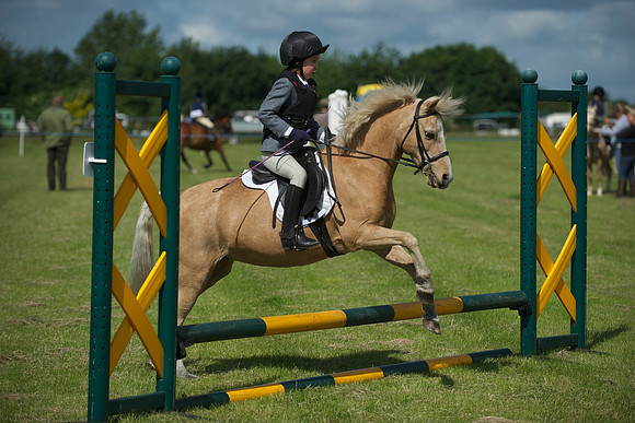 SOHS PC Summer Show at BCA 17th June 2012