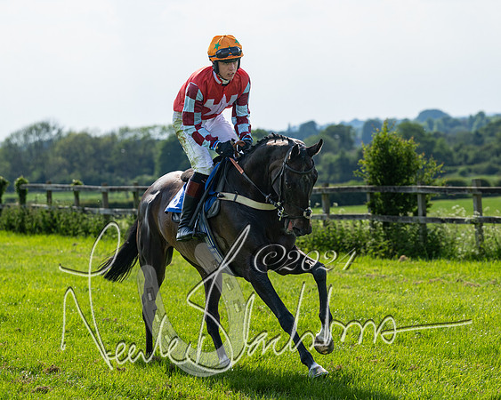 Race 5  - Maiden race 2m5F Div-1 (83 of 197)