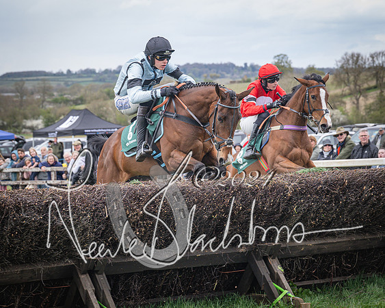 Race 2 - Tattersalls Cheltenham 4 year old Maiden (26 of 85)