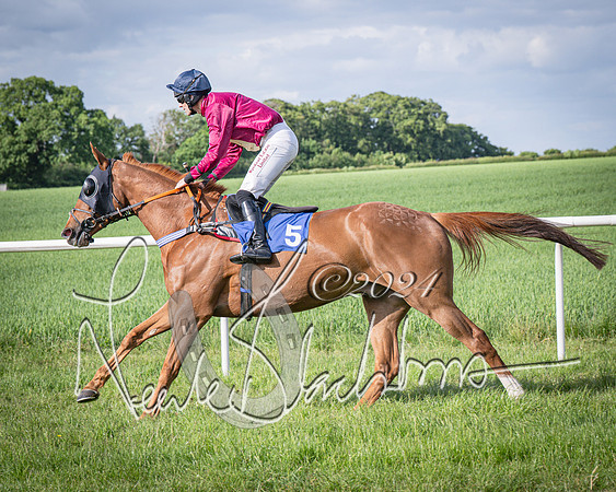 Race 6 - Thorn Plant Hire Maiden Race (40 of 129)