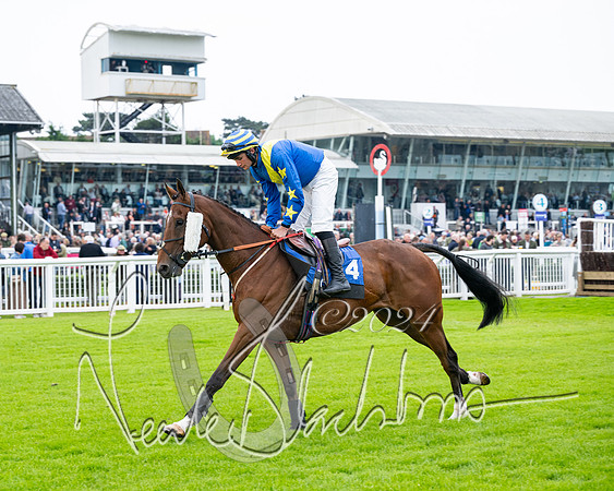 Race 3 - John Corbet Cup  (16 of 108)