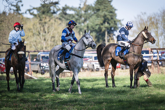 Race 1 - Veteran Horse (17 of 62)