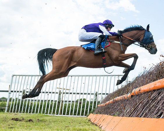 Race 5 - Restricted  (56 of 136)
