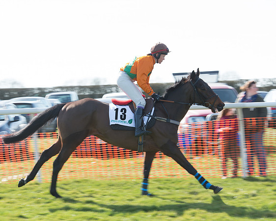 Race 2 - Open Maiden Div 2 (13 of 124).jpg