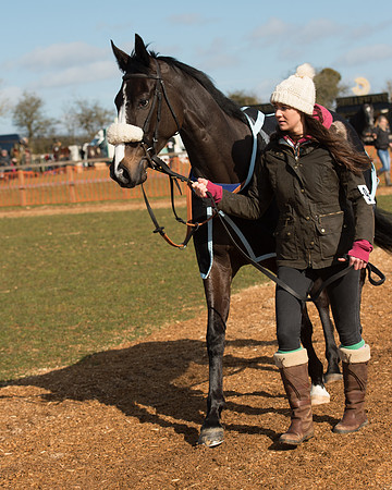 Race 1 - 4-5-6 Maiden (7 of 119).jpg