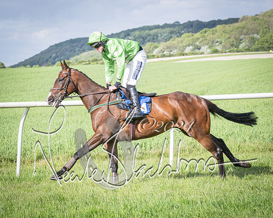 Race 6 - Thorn Plant Hire Maiden Race (33 of 129)