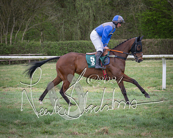 Race 7 - The Jockey Club maiden race for Mares and Fillies only (21 of 96)