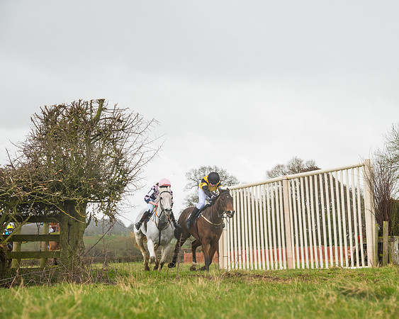Pony Race 3 (61 of 67)