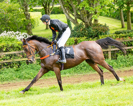 Race 5  - Novice riders (11 of 188)