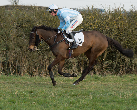 Race 6 - Open Maiden Race (9 of 99).jpg