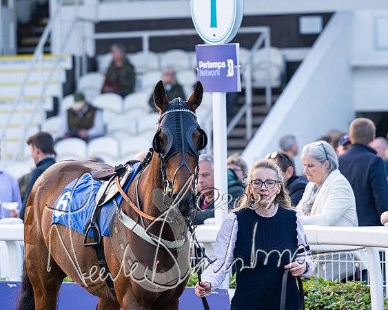Race 6 - Open (4 of 84)-Enhanced-NR