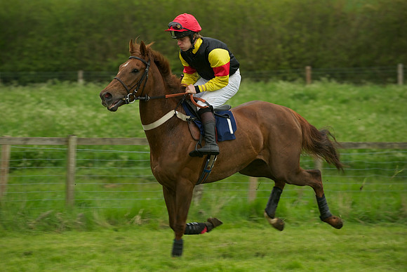 Race 6 - Maiden 10