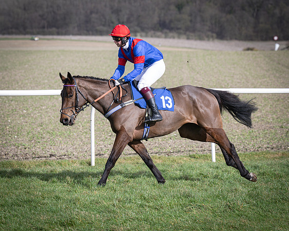 Race 3 - The Maiden Conditions (44 of 214)