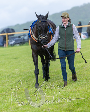 Race 1 - Owner-Trainer Conditions  (68 of 392)