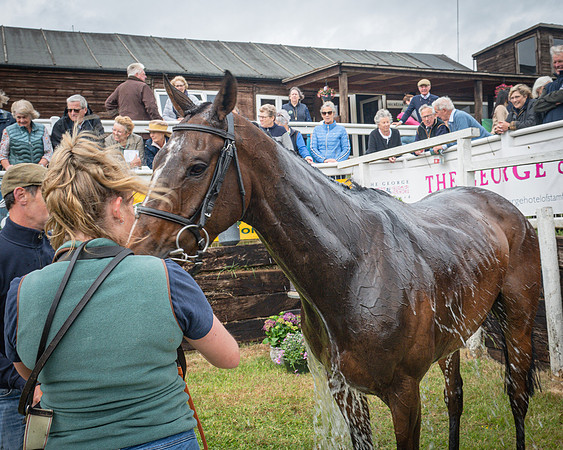 Race 6 - 2M4F Maiden (65 of 85)