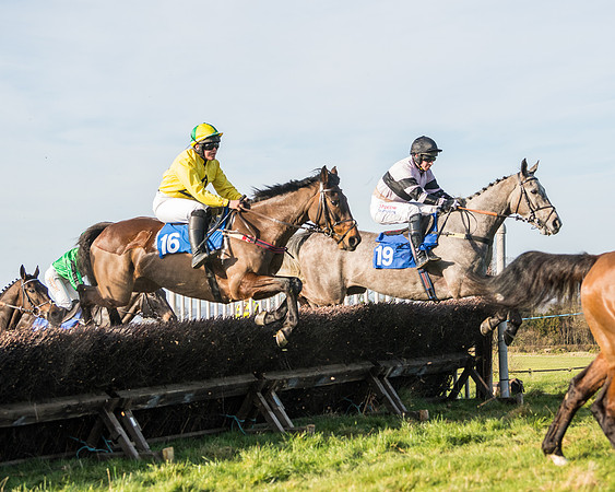 Race 5 - Restricted (26 of 146)
