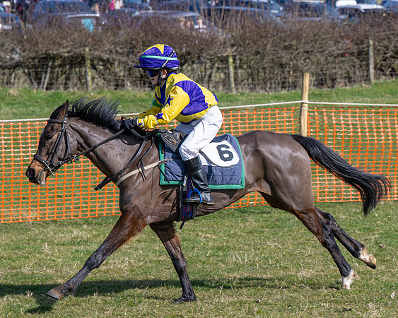 Pony Race 2 - 138cm (57 of 65)